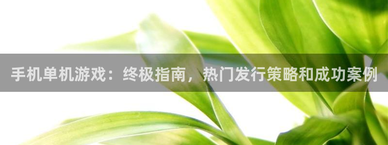 新城平台注册登录地址在哪：手机单机游戏：终极指南，热门发行策略和成功案例