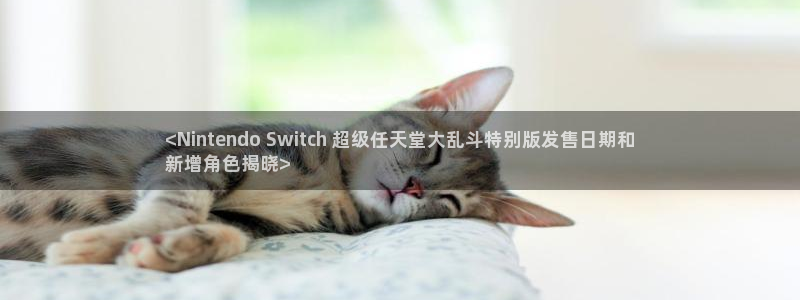 新城平台房7O777：<Nintendo Switch 超级任天堂大乱斗特别版发售日期和
新增角色揭晓>