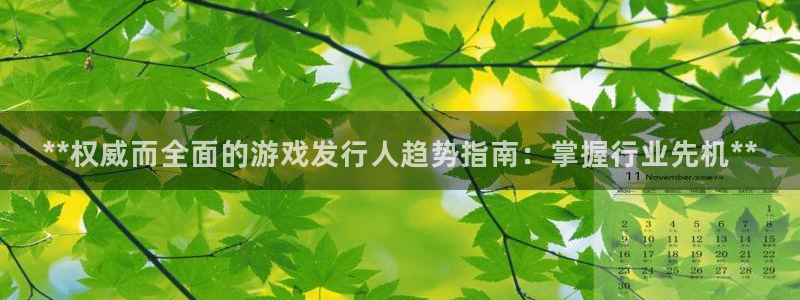 新城平台线路登录不上去了怎么回事：**权威而全面的游戏发行人趋势指南：掌握行业先机**